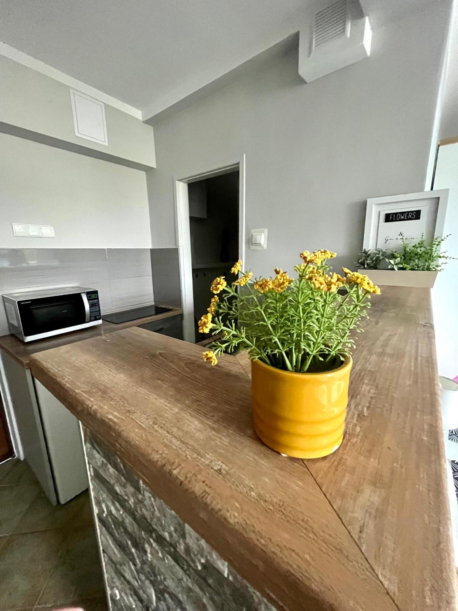 Świnoujście Apartament Sloneczny מראה חיצוני תמונה